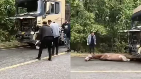 黑龙江黑河逊克县